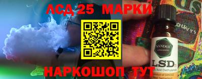 амф Гусев