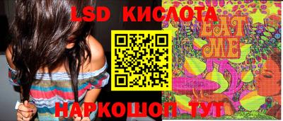 амф Гусев