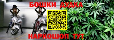 амф Гусев