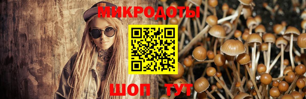 как найти наркотики  Вход с VPN  Ханты-Мансийск  Псилоцибиновые грибы Magic Shrooms 